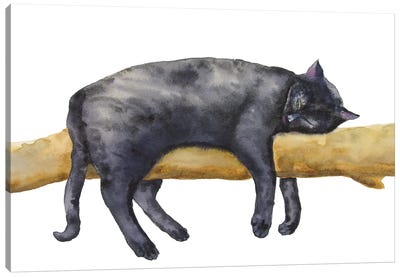 Sleeping Black Cat Canvas Art Print - Alexey Dmitrievich Shmyrov