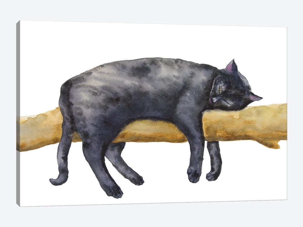 Sleeping Black Cat by Alexey Dmitrievich Shmyrov 1-piece Canvas Wall Art