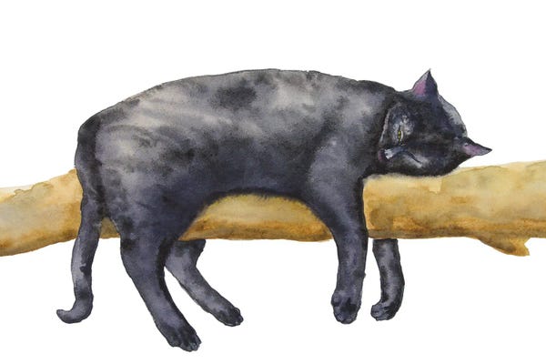 Sleeping & Napping: Sleeping Black Cat by Alexey Dmitrievich Shmyrov