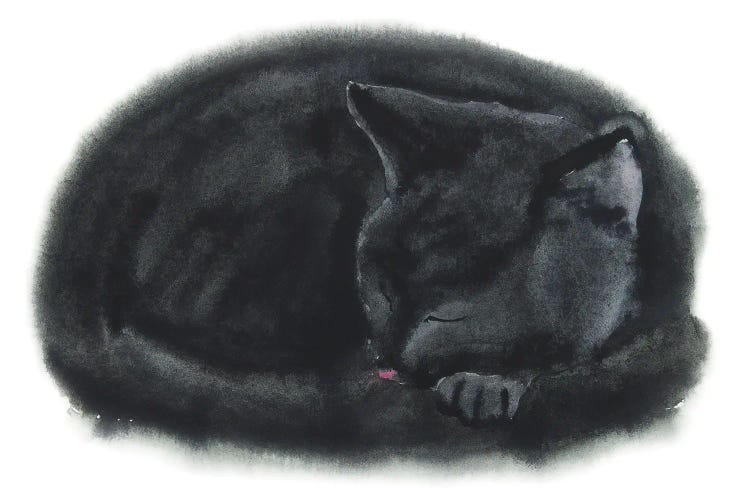 Sleeping Black Kitten by Alexey Dmitrievich Shmyrov wall art