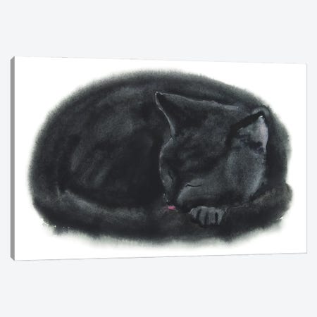 Sleeping Black Kitten Canvas Print #AXS56} by Alexey Dmitrievich Shmyrov Canvas Artwork