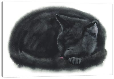 Sleeping Black Kitten Canvas Art Print - Alexey Dmitrievich Shmyrov