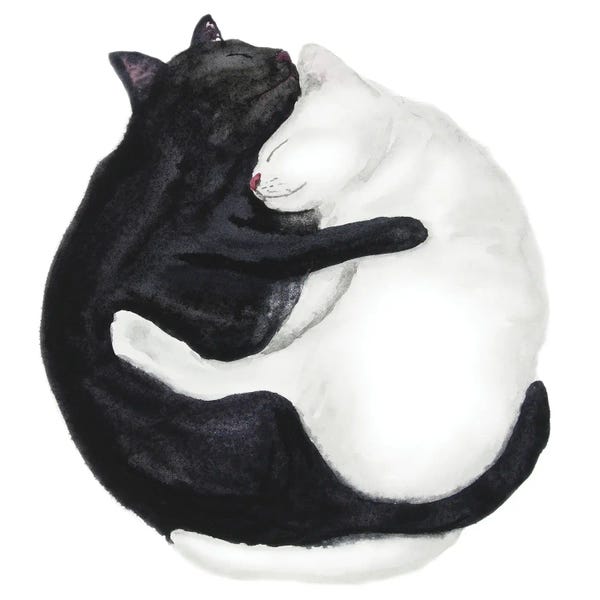 Sleeping & Napping: Sleeping Cats by Alexey Dmitrievich Shmyrov