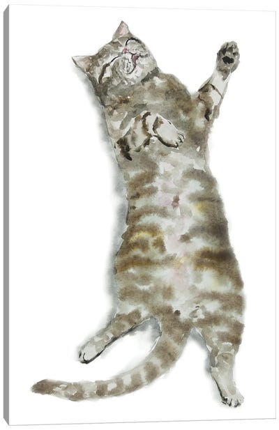 Sleeping Tabby Cat I Canvas Art Print - Alexey Dmitrievich Shmyrov