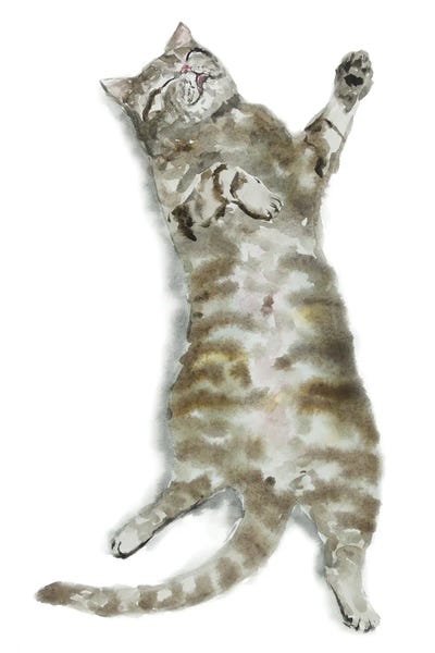 Tabbies: Sleeping Tabby Cat I by Alexey Dmitrievich Shmyrov