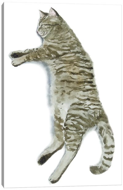 Sleeping Tabby Cat II Canvas Art Print - Tabby Cat Art