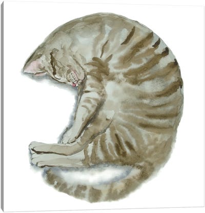 Sleeping Tabby Cat III Canvas Art Print - Alexey Dmitrievich Shmyrov