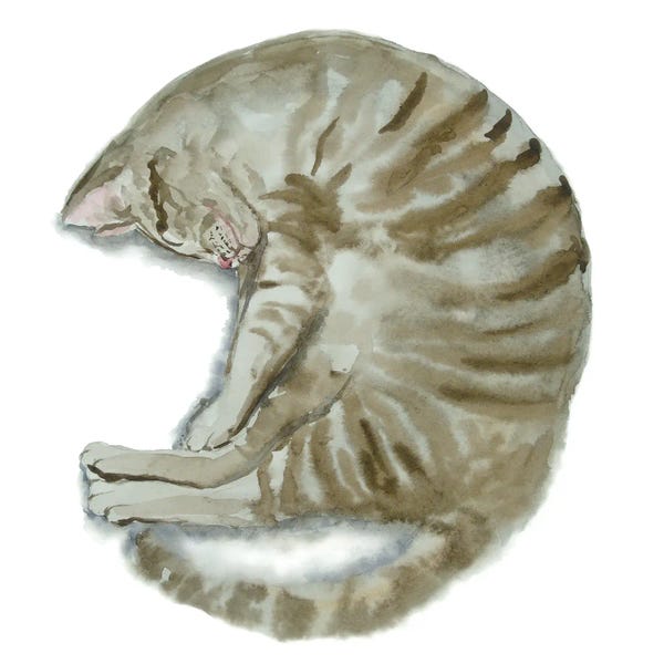 Tabbies: Sleeping Tabby Cat III by Alexey Dmitrievich Shmyrov