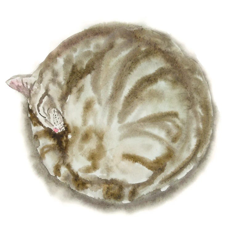 Sleeping Tabby Cat IV