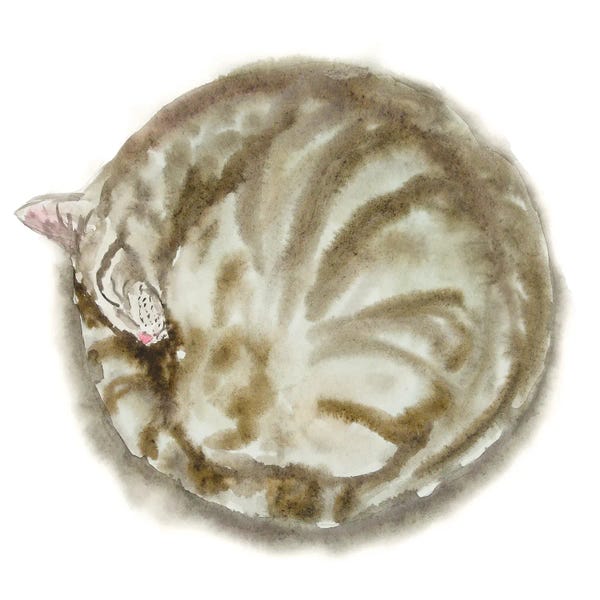 Tabbies: Sleeping Tabby Cat IV by Alexey Dmitrievich Shmyrov