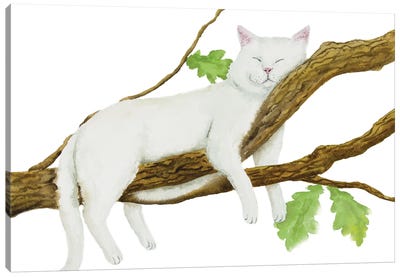 Sleeping White Cat Canvas Art Print - A Purr-fect Day