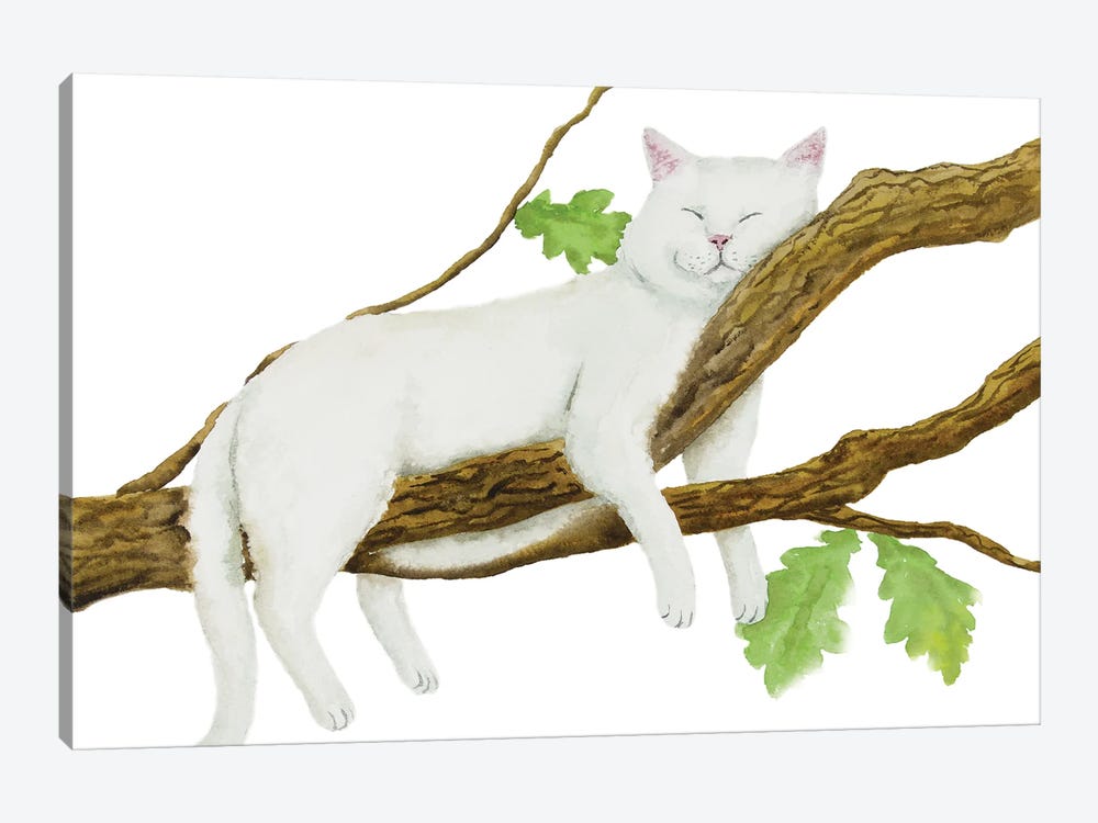 Sleeping White Cat by Alexey Dmitrievich Shmyrov 1-piece Canvas Artwork