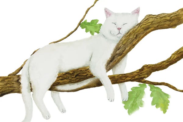 A Purr-fect Day: Sleeping White Cat by Alexey Dmitrievich Shmyrov