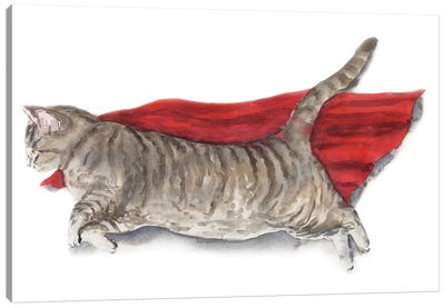 Superhero Cat Canvas Art Print - Alexey Dmitrievich Shmyrov