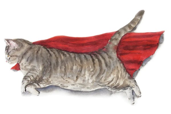 Superhero Cat