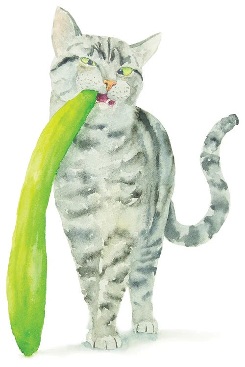 Tabby Cat And Cucumber