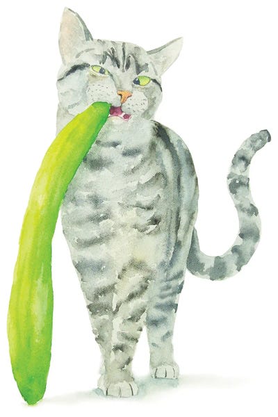 Tabbies: Tabby Cat And Cucumber by Alexey Dmitrievich Shmyrov