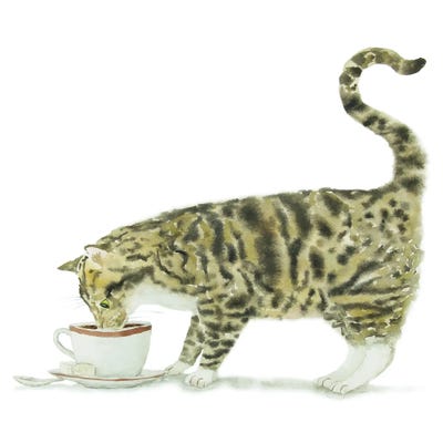 Tabby Cat And Coffee by Alexey Dmitrievich Shmyrov framed canvas print