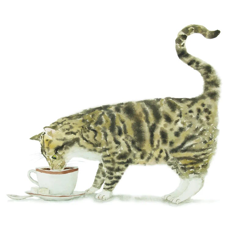 Tabby Cat And Coffee