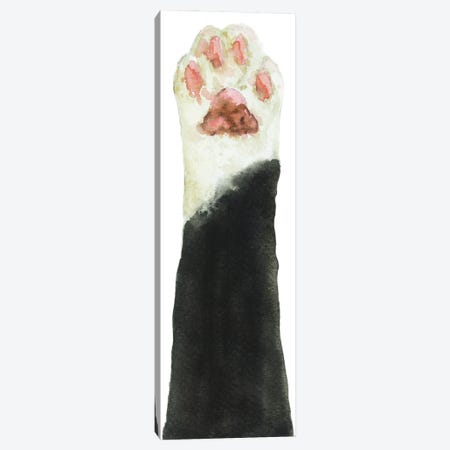 Black Bicolor Cat Paw Canvas Print #AXS6} by Alexey Dmitrievich Shmyrov Canvas Print
