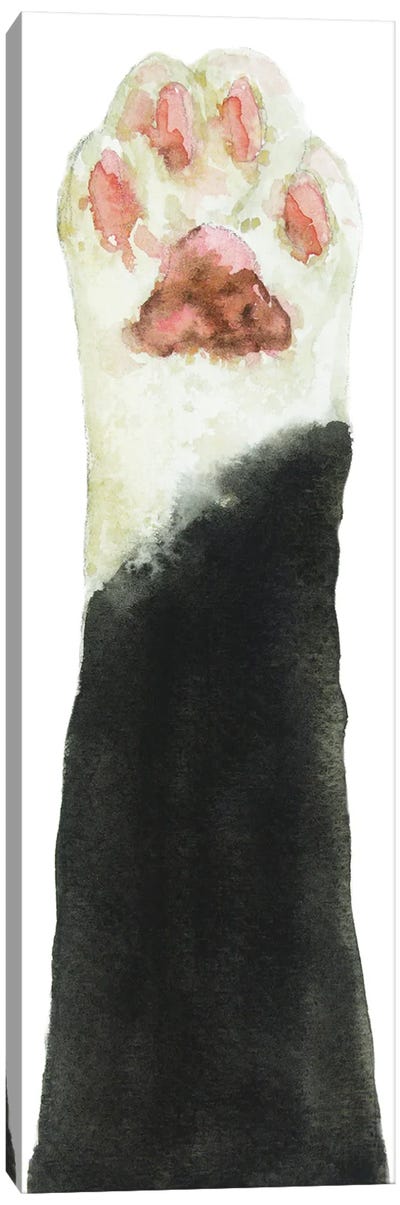 Black Bicolor Cat Paw Canvas Art Print