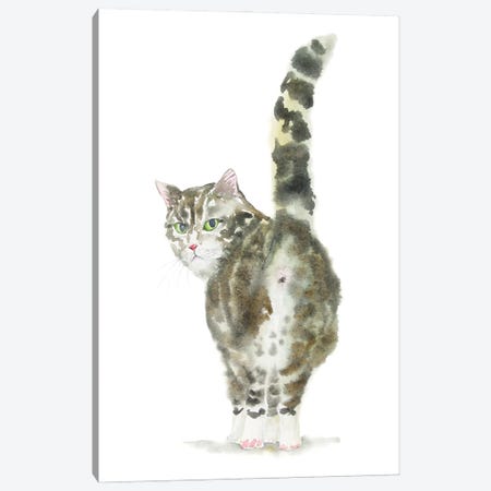 Tabby Cat Butt Canvas Print #AXS73} by Alexey Dmitrievich Shmyrov Canvas Art Print