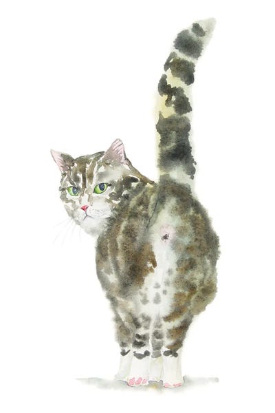 Tabbies: Tabby Cat Butt by Alexey Dmitrievich Shmyrov