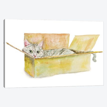 Tabby Cat In The Box Canvas Print #AXS74} by Alexey Dmitrievich Shmyrov Canvas Art
