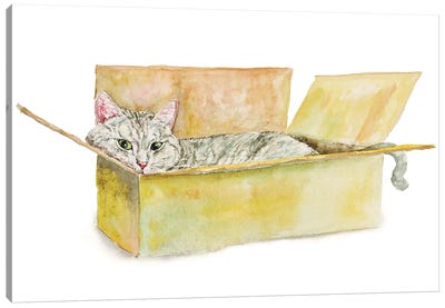 Tabby Cat In The Box Canvas Art Print - Alexey Dmitrievich Shmyrov