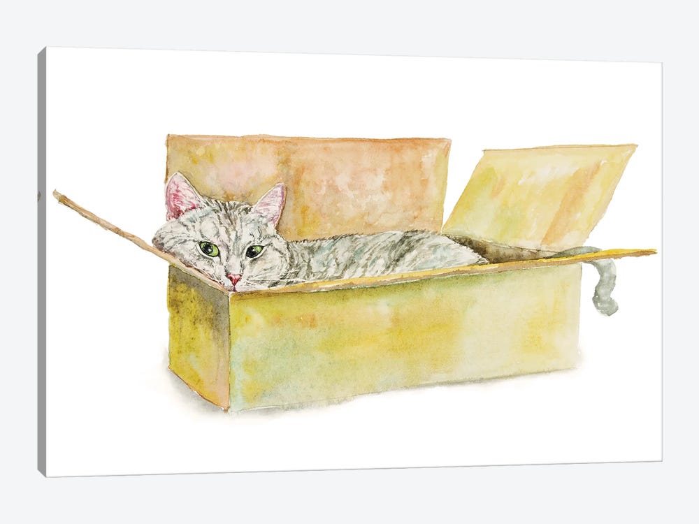 Tabby Cat In The Box by Alexey Dmitrievich Shmyrov 1-piece Art Print
