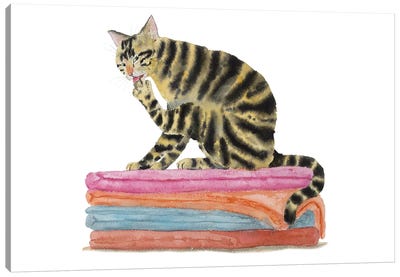 Tabby Cat On Bath Towels Canvas Art Print - Alexey Dmitrievich Shmyrov
