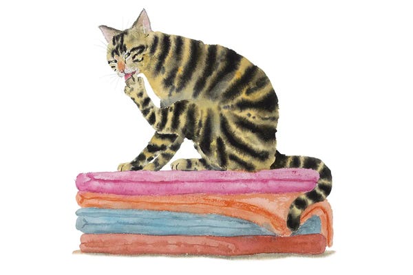 Tabbies: Tabby Cat On Bath Towels by Alexey Dmitrievich Shmyrov