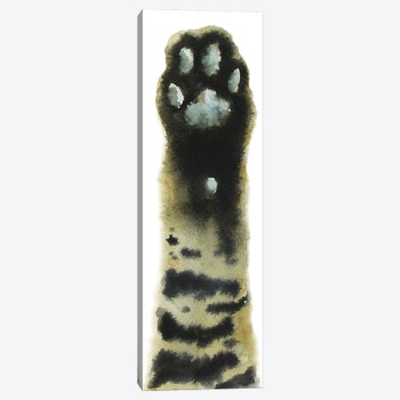 Tabby Cat Paw Canvas Print #AXS76} by Alexey Dmitrievich Shmyrov Canvas Art