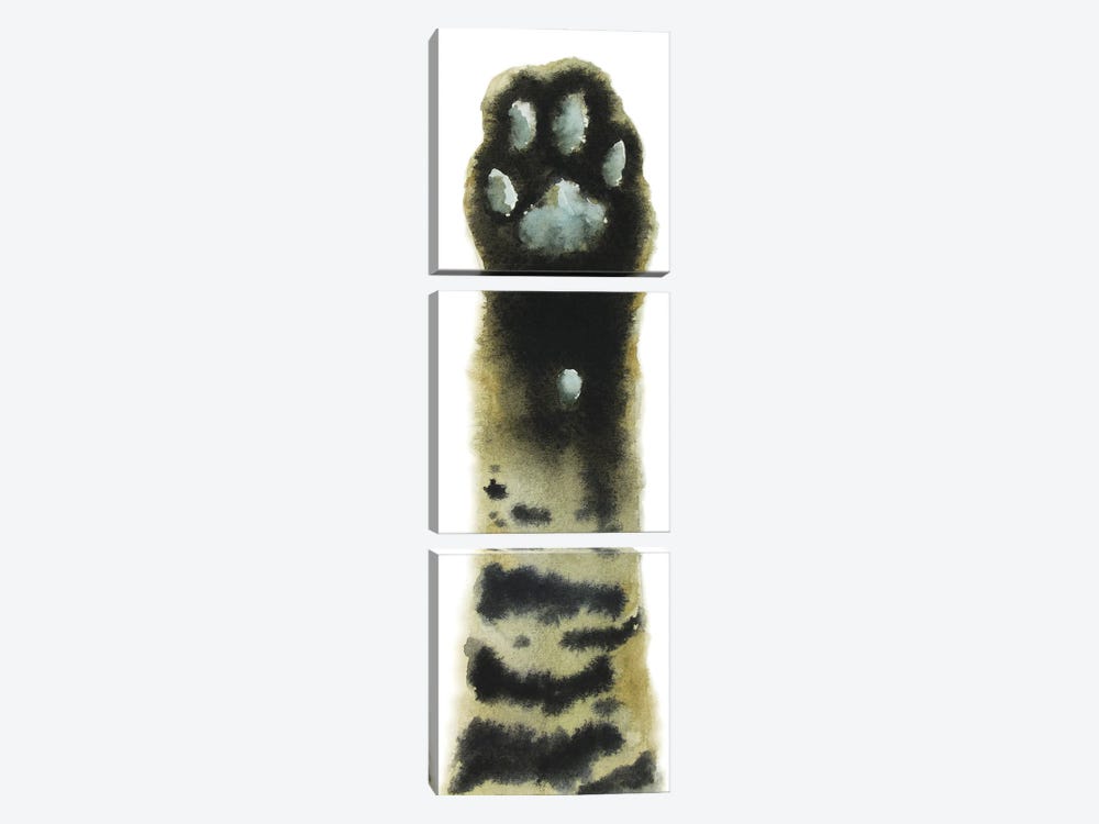 Tabby Cat Paw by Alexey Dmitrievich Shmyrov 3-piece Canvas Print