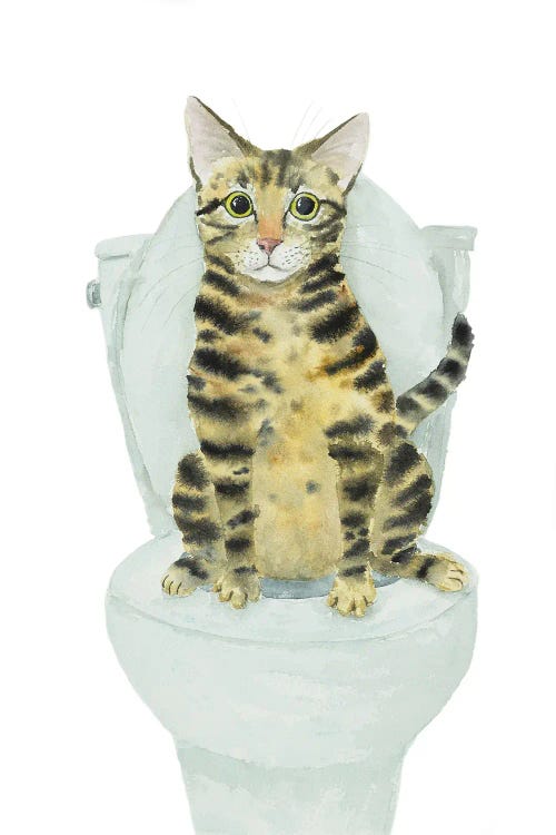 Tabby Cat Toilet Time by Alexey Dmitrievich Shmyrov wall art