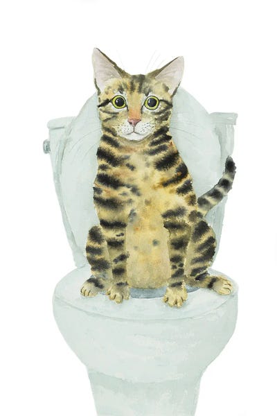 Bathroom Break: Tabby Cat Toilet Time by Alexey Dmitrievich Shmyrov