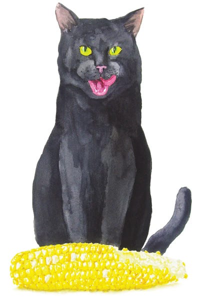 Black Cat And Corn