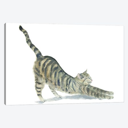Tabby Yoga Cat Canvas Print #AXS80} by Alexey Dmitrievich Shmyrov Canvas Artwork