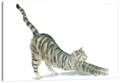 Tabby Yoga Cat Canvas Art Print - Alexey Dmitrievich Shmyrov