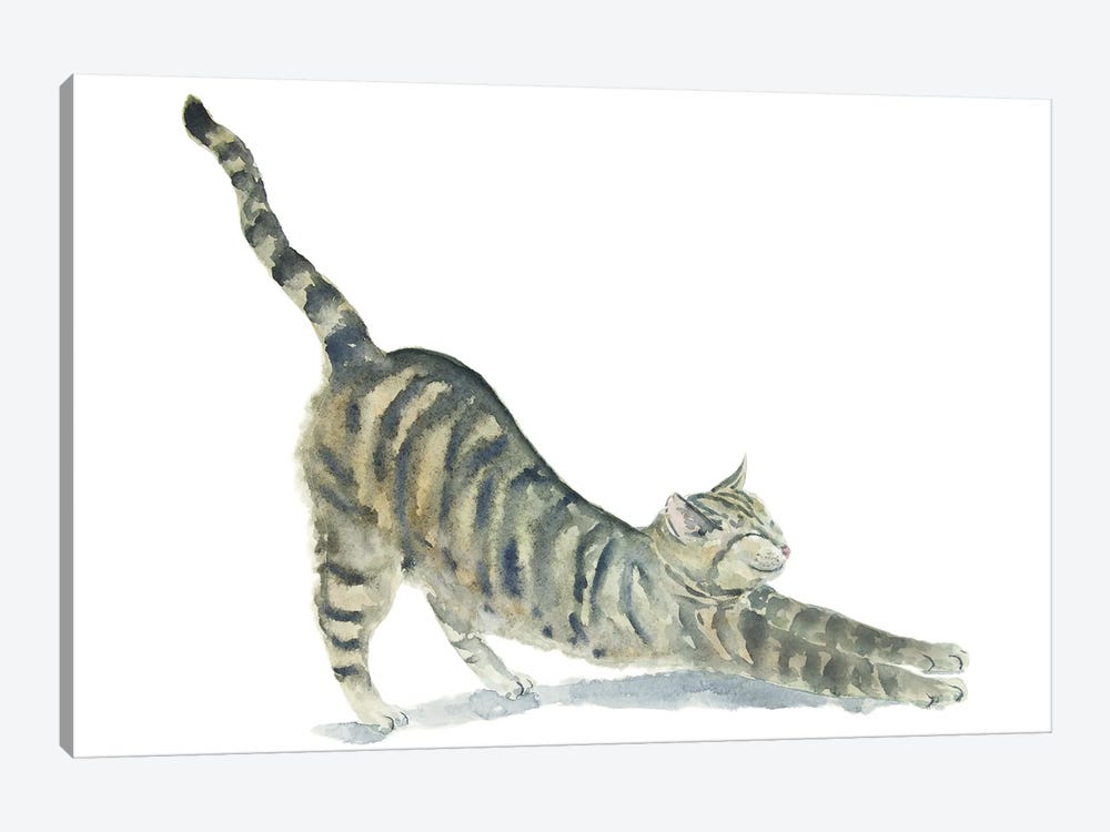 Tabby Yoga Cat by Alexey Dmitrievich Shmyrov 1-piece Canvas Art