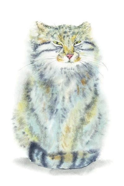 Tricky Manul by Alexey Dmitrievich Shmyrov framed canvas print