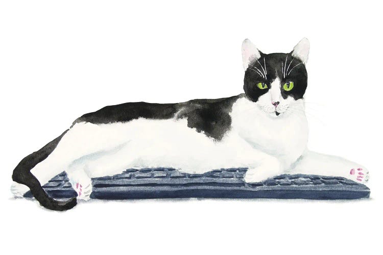 Tuxedo Cat On The Keyboard by Alexey Dmitrievich Shmyrov wall art