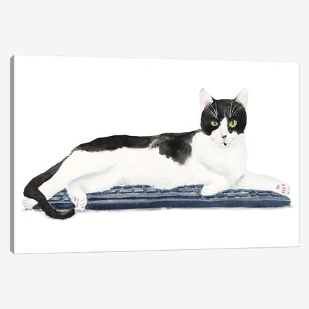 Tuxedo Cat On The Keyboard Canvas Print #AXS82} by Alexey Dmitrievich Shmyrov Canvas Artwork