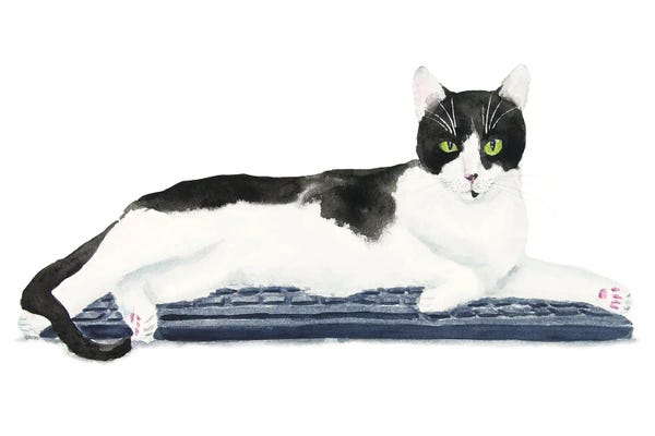 Tuxedo Cats: Tuxedo Cat On The Keyboard by Alexey Dmitrievich Shmyrov