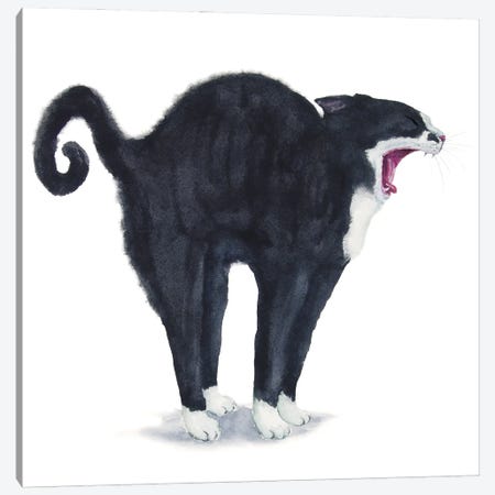 Tuxedo Stretching Cat Canvas Print #AXS83} by Alexey Dmitrievich Shmyrov Canvas Wall Art