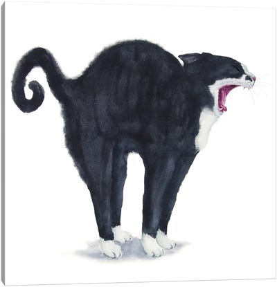 Tuxedo Stretching Cat Canvas Art Print - Tuxedo Cat Art