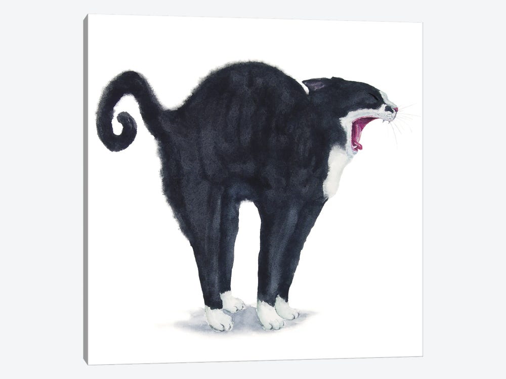 Tuxedo Stretching Cat by Alexey Dmitrievich Shmyrov 1-piece Art Print