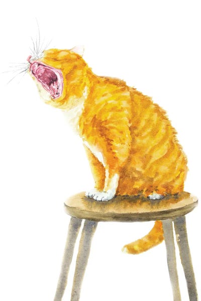 Yawning Orange Cat by Alexey Dmitrievich Shmyrov framed canvas print