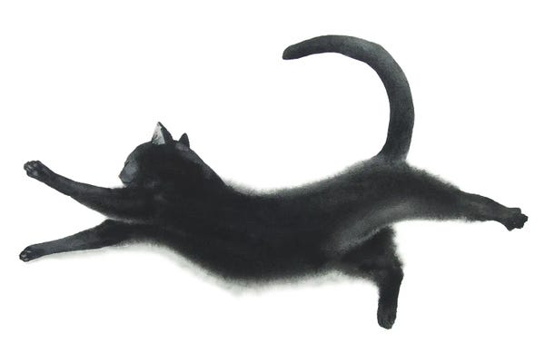 Yoga: Yoga Black Cat I by Alexey Dmitrievich Shmyrov