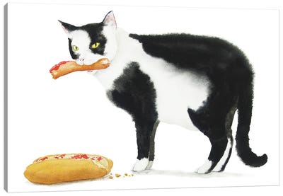 Black Cat And Hot Dog Canvas Art Print - Meat Art